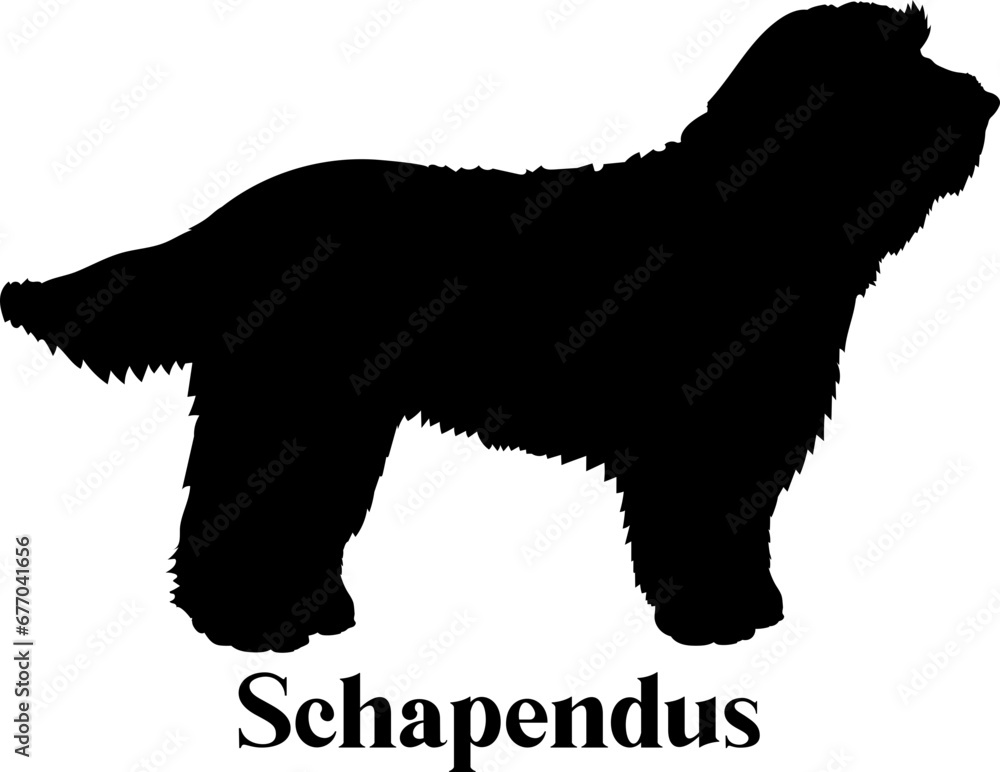 Schapendus Dog silhouette dog breeds logo dog monogram logo dog face vector
