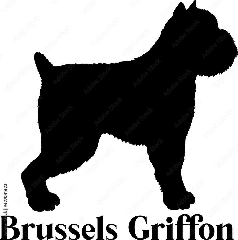 Brussels Griffon Dog silhouette dog breeds logo dog monogram logo dog face vector
