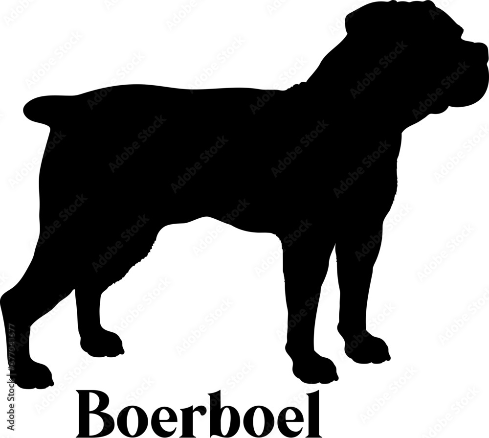 Boerboel Dog silhouette dog breeds logo dog monogram logo dog face vector
