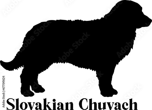 Slovakian Chuvach Dog silhouette dog breeds logo dog monogram logo dog face vector 
