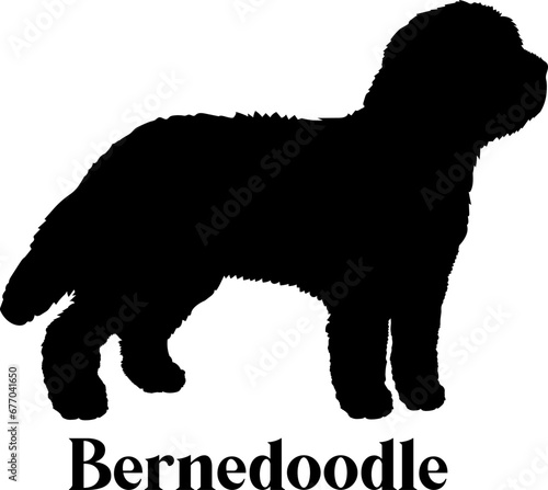 Bernedoodle Dog silhouette dog breeds logo dog monogram logo dog face vector 