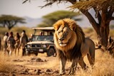 Tourists on a safari, with a lion in the foreground . AI generative
