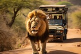 Tourists on a safari, with a lion in the foreground . AI generative