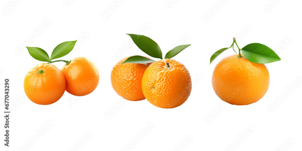 Taiwan tangerine isolated on white background Taiwan tangerine isolated on white background