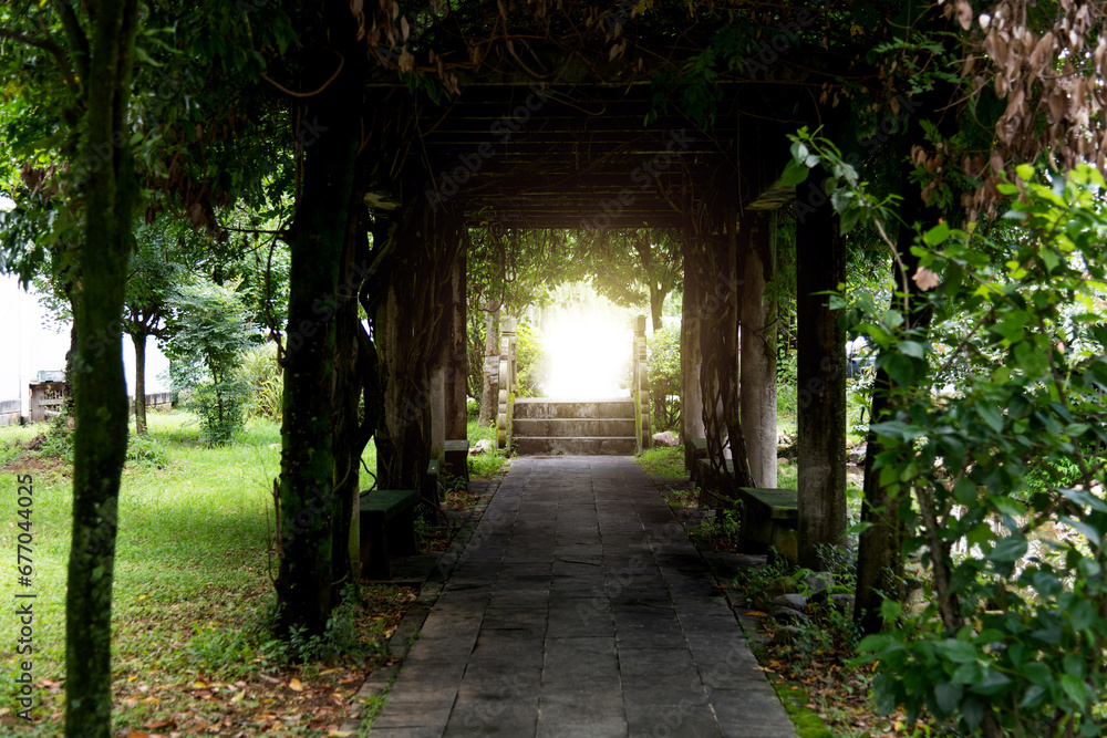 Old garden corridor with plants