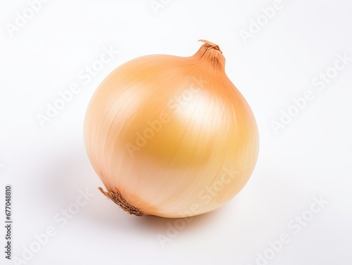 onion on a white background