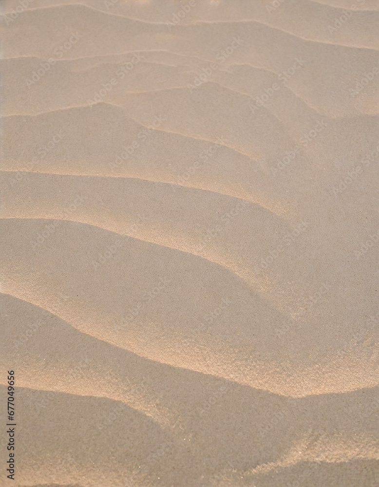 ripples in the sand ripples in the sand