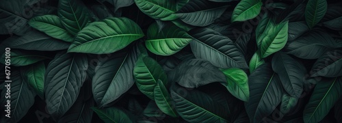 The Verdant Tapestry: A Lush Display of Green Leaves on a Wall © pham