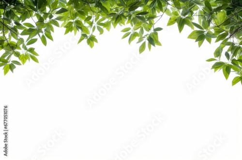 Natural Green leaves frame for background, Generative AI