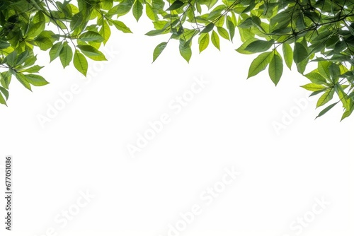 Natural Green leaves frame for background, Generative AI
