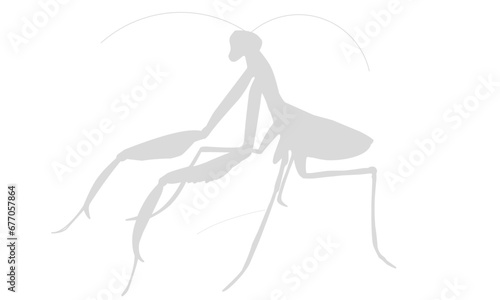 silhouette of a mantis