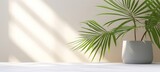Modern minimal empty white marble stone counter table top, palm tree in sunlight, leaf shadow on concrete wall background for luxury organic cosmetic, Generative AI