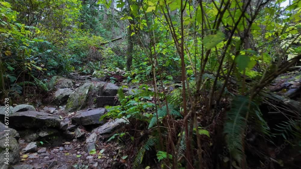 Hiking Path in Canadian Rainforest, Fall Season. Lighthouse Park, West Vancouver, BC Canada. Hiking Path in Canadian Rainforest, Fall Season. Lighthouse Park, West Vancouver, BC Canada.