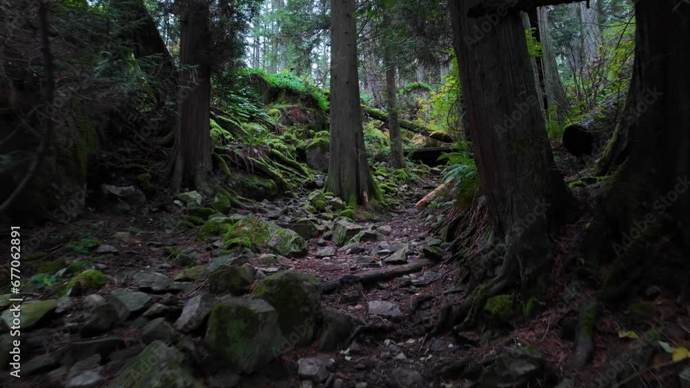 Hiking Path in Canadian Rainforest, Fall Season. Lighthouse Park, West Vancouver, BC Canada. Hiking Path in Canadian Rainforest, Fall Season. Lighthouse Park, West Vancouver, BC Canada.