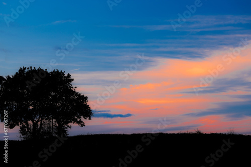 soft sunset with silhouette of tree in the countryside