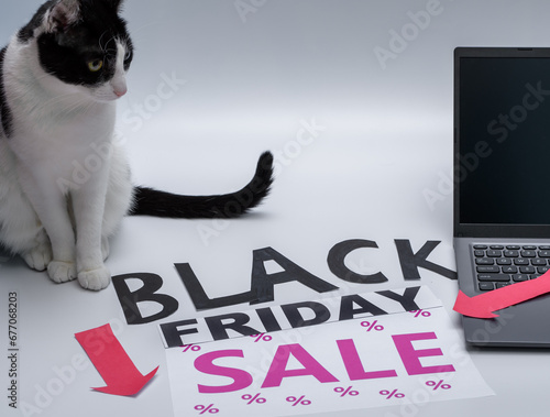 Kot siedzi obok komputera i napisów BLACK FRIDAY SALE