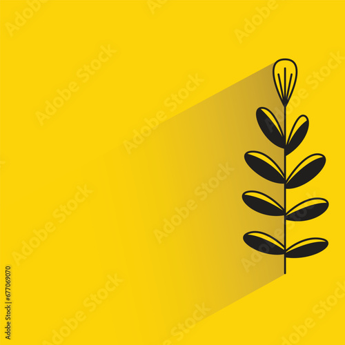 flower and leaves with shadow on yellow background