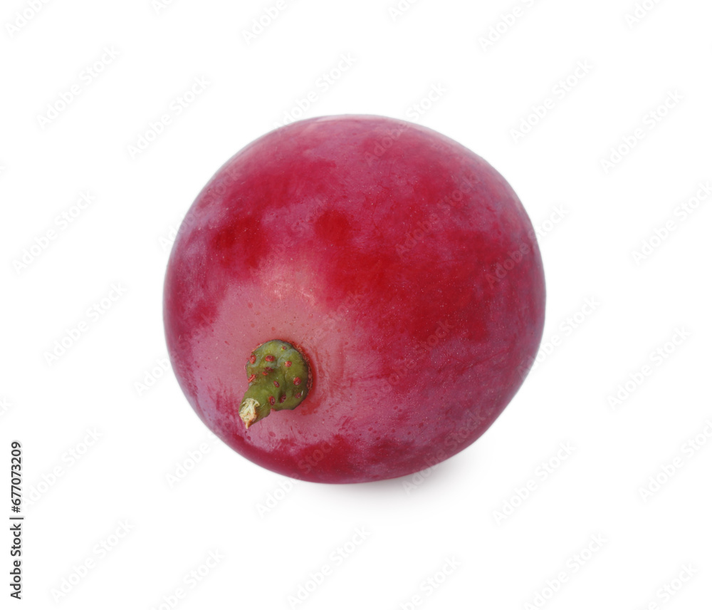 Obraz premium One ripe red grape isolated on white