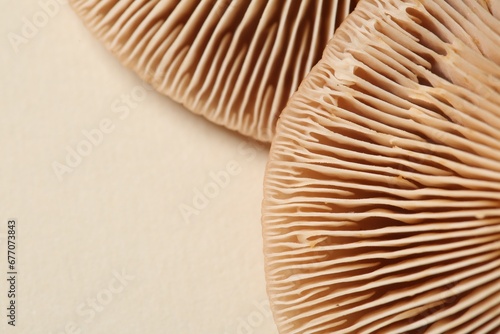 Raw forest mushrooms on beige background, macro view. Space for text