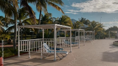 sun beds on the background of palm trees. caribbean landscape