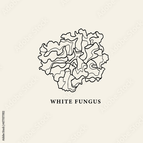 Line art white fungus illustration
