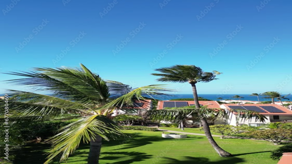 Tropical Suburbia: Solar-Powered Homes Amongst Palm Trees, Vertical Shot Tropical Suburbia: Solar-Powered Homes Amongst Palm Trees, Vertical Shot