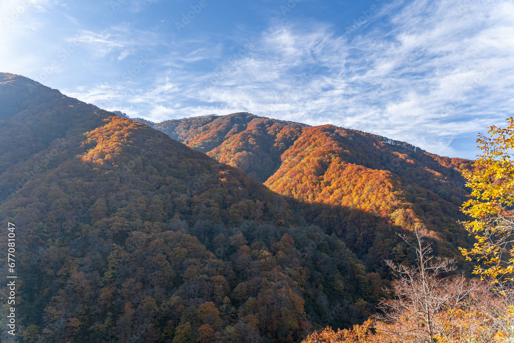 紅葉の山