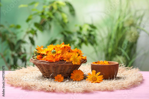 Many beautiful fresh calendula flowers on table against blurred green background, space for text