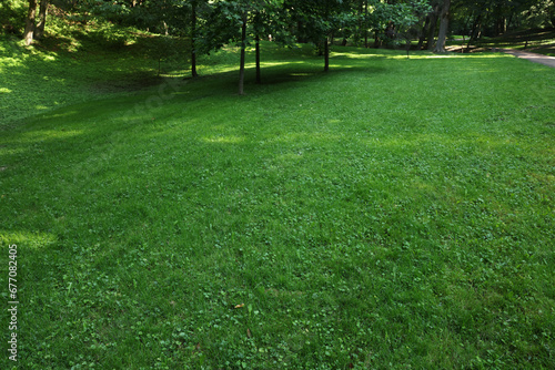 Beautiful lawn with vibrant green grass outdoors