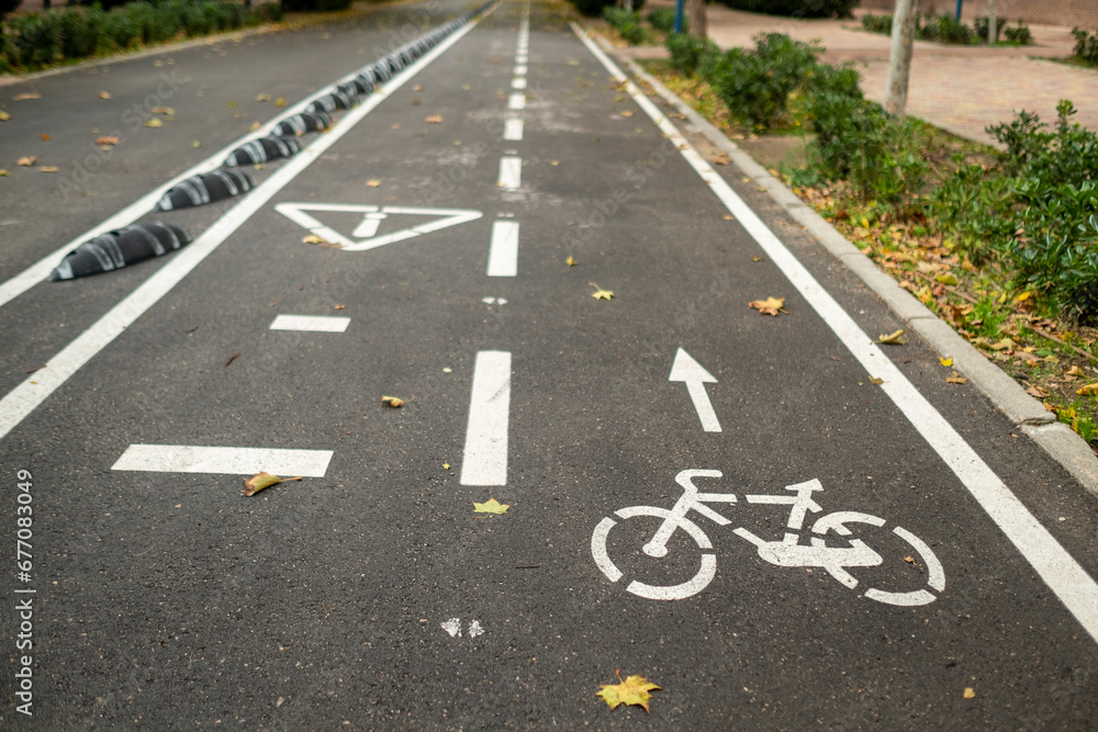 general view with detail of bike lane in the city with dry leaves. general view with detail of bike lane in the city with dry leaves.