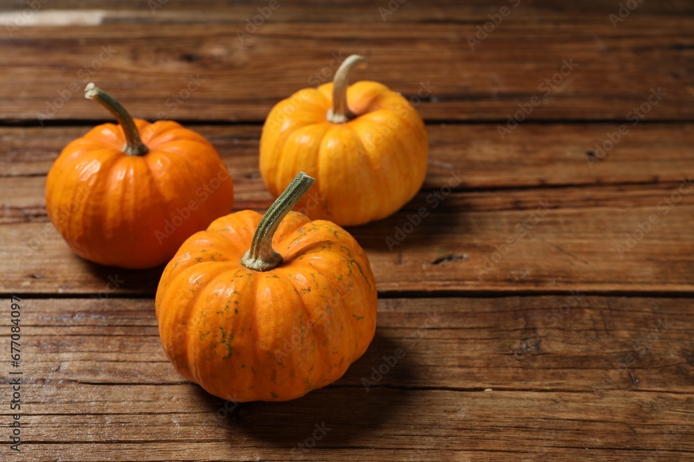 Thanksgiving day. Pumpkins on wooden table, space for text Thanksgiving day. Pumpkins on wooden table, space for text