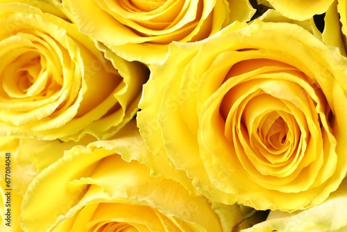 Beautiful bouquet of yellow roses as background  closeup