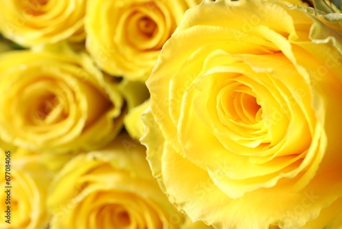 Beautiful bouquet of yellow roses  closeup. Space for text