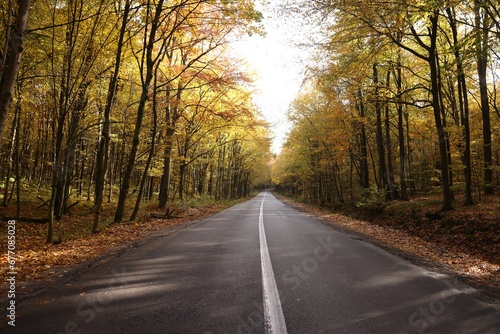 Beautiful view of asphalt road going through autumn forest