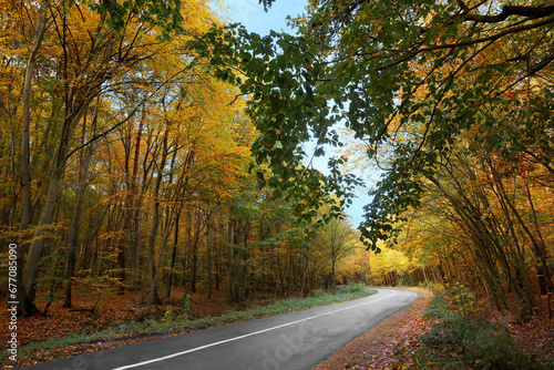 Beautiful view of asphalt road going through autumn forest