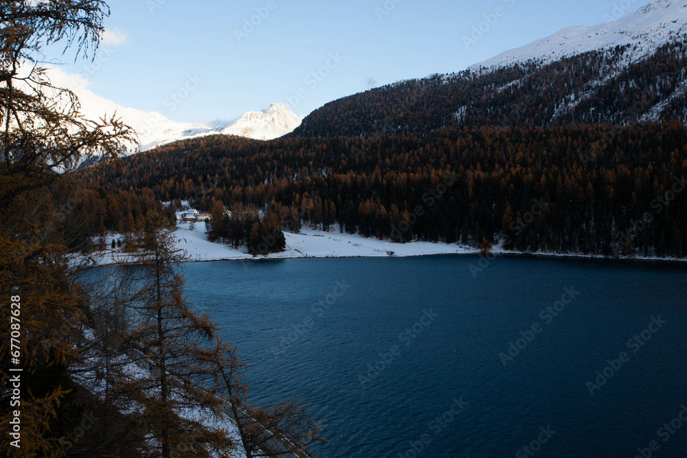 Snowy landscape