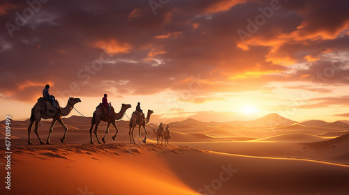 camels in the desert