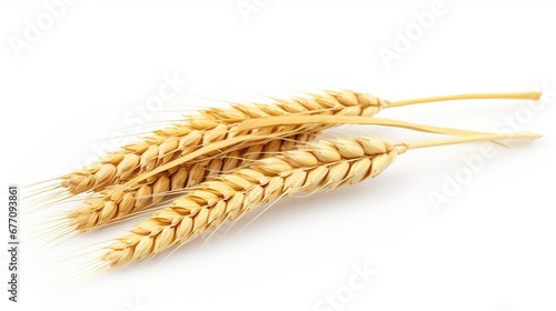 Ear of wheat isolated on empty white background, created with Generative Ai technology.