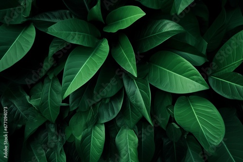 Green leaves pattern background, Natural background and wallpaper. generative ai.