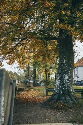 Herbst in Landsberg photo