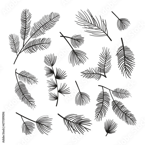 Christmas pine branch icon vector illustration. Evergreen tree on isolated background. New Year wood sign concept.