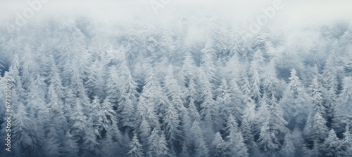 Panoramic view of an icy and snowy forest landscape in winter. © Simon