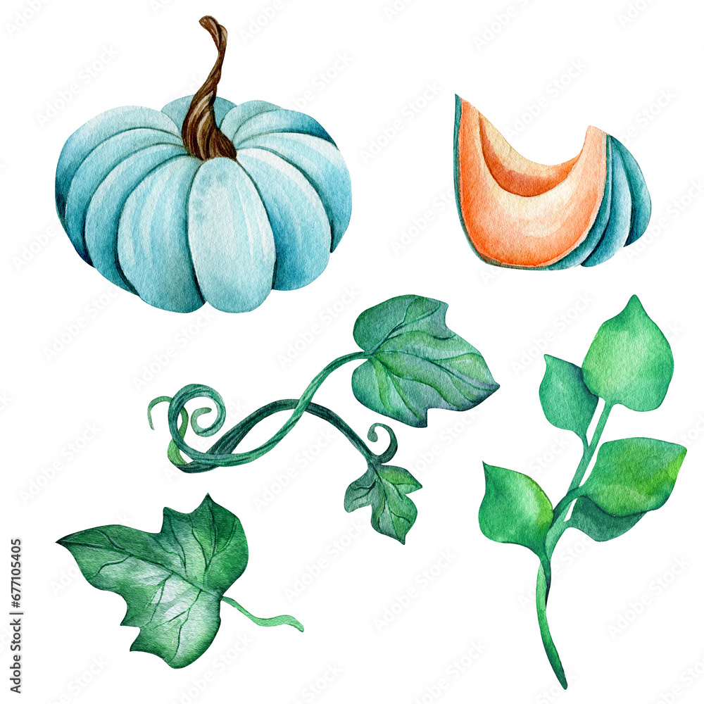 Set of watercolor elements. Hand drawn green leaves, blue pumpkin and pumpkin slice isolated on white background. Botanical drawing, clipart.