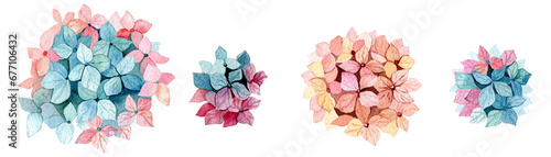 Set of watercolor illustrations of hydrangea. Bright, blue, pink, orange hydrangea bouquets. Flowers on a white background. Drawings for cards, stickers, scrapbooking, prints.