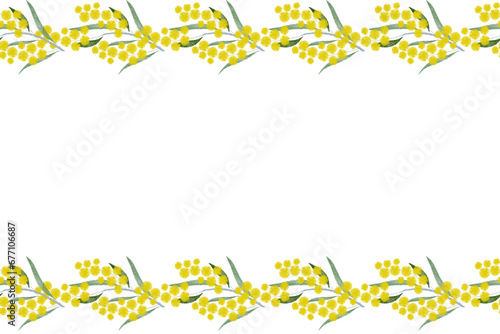 Australia flower yellow golden wattle (Acacia pycnantha Benth) Australia's national floral emblem background banner. Vector illustration photo