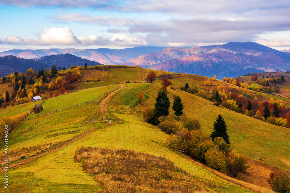path through rolling hills of carpathian rural landscape in morning light. mountainous scenery in autumn