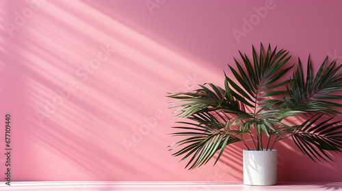 Palm leaves on the pink wall. Minimal background for product presentation with empty space. Spring or summer.