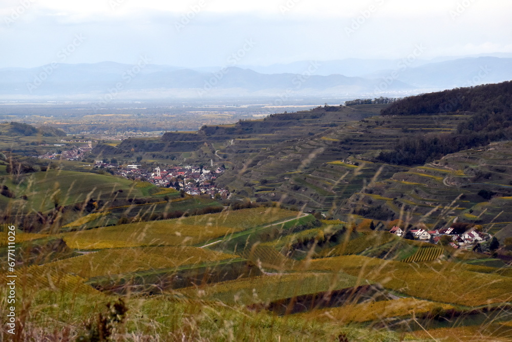 Obraz premium Oberbergen zwischen Weinbergen im Kaiserstuhl