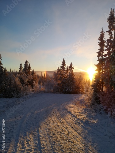 Winter scenery: path under frosted trees, everything frozen. Clear sky under the rising sun. Captured somewhere in Sweden, depicting the charm of a frosty winter