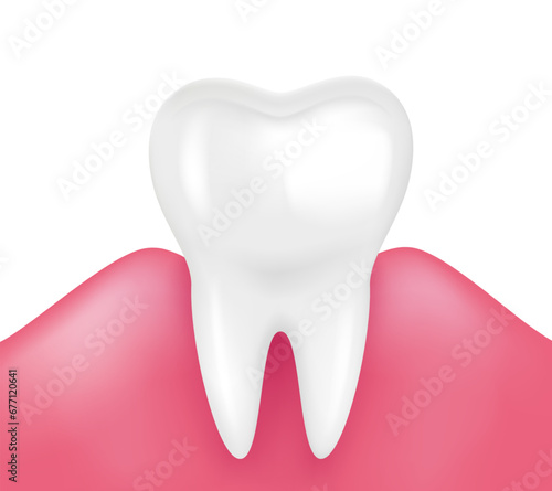 Single tooth with healthy gums isolated on white background. Medical and dental health. Realistic 3D vector file.